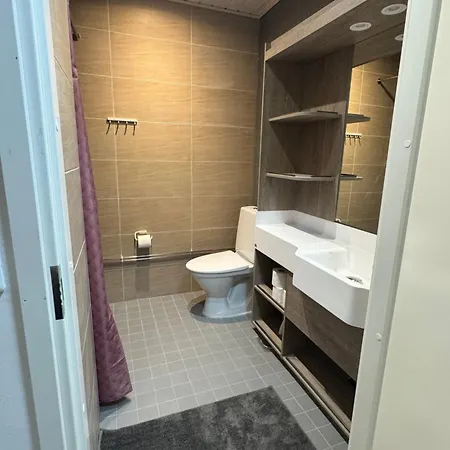 Daire Polar Light